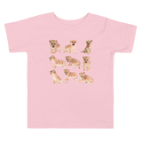 Lions (Toddler Short Sleeve Tee)