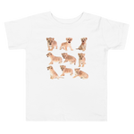 Lions (Toddler Short Sleeve Tee)